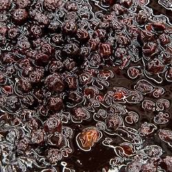 دسر آلبالو فله